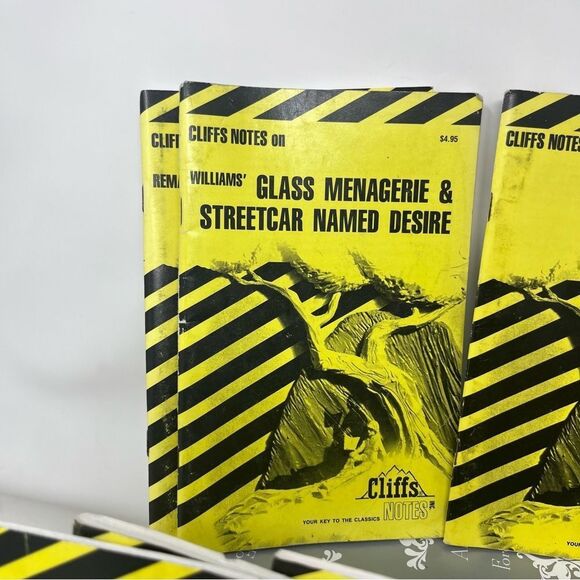 Cliffs Notes Book Bundle Vintage Novels Reading Classics - Picture 3 of 10